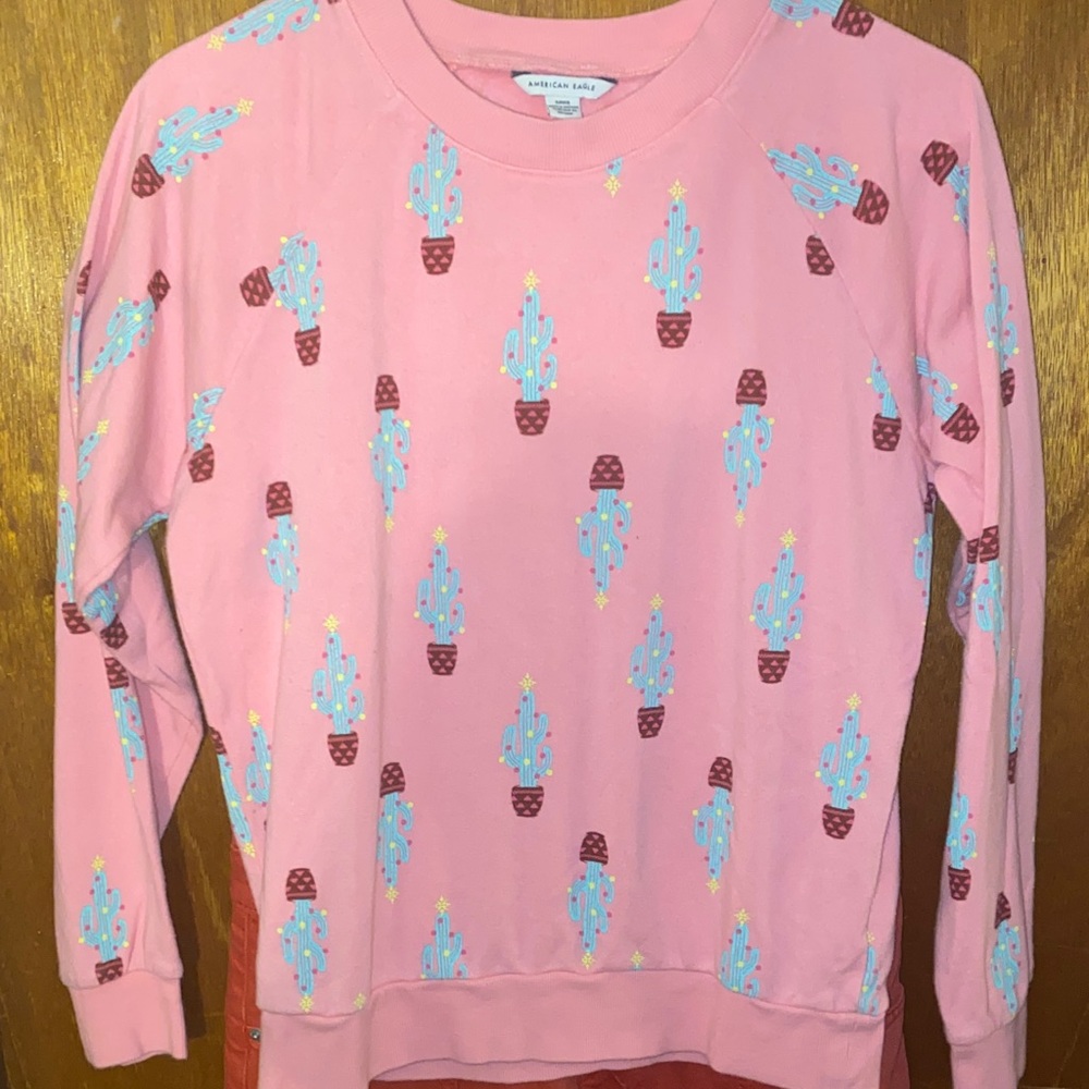 American Eagle Outfitters Pink Cactus Sweater